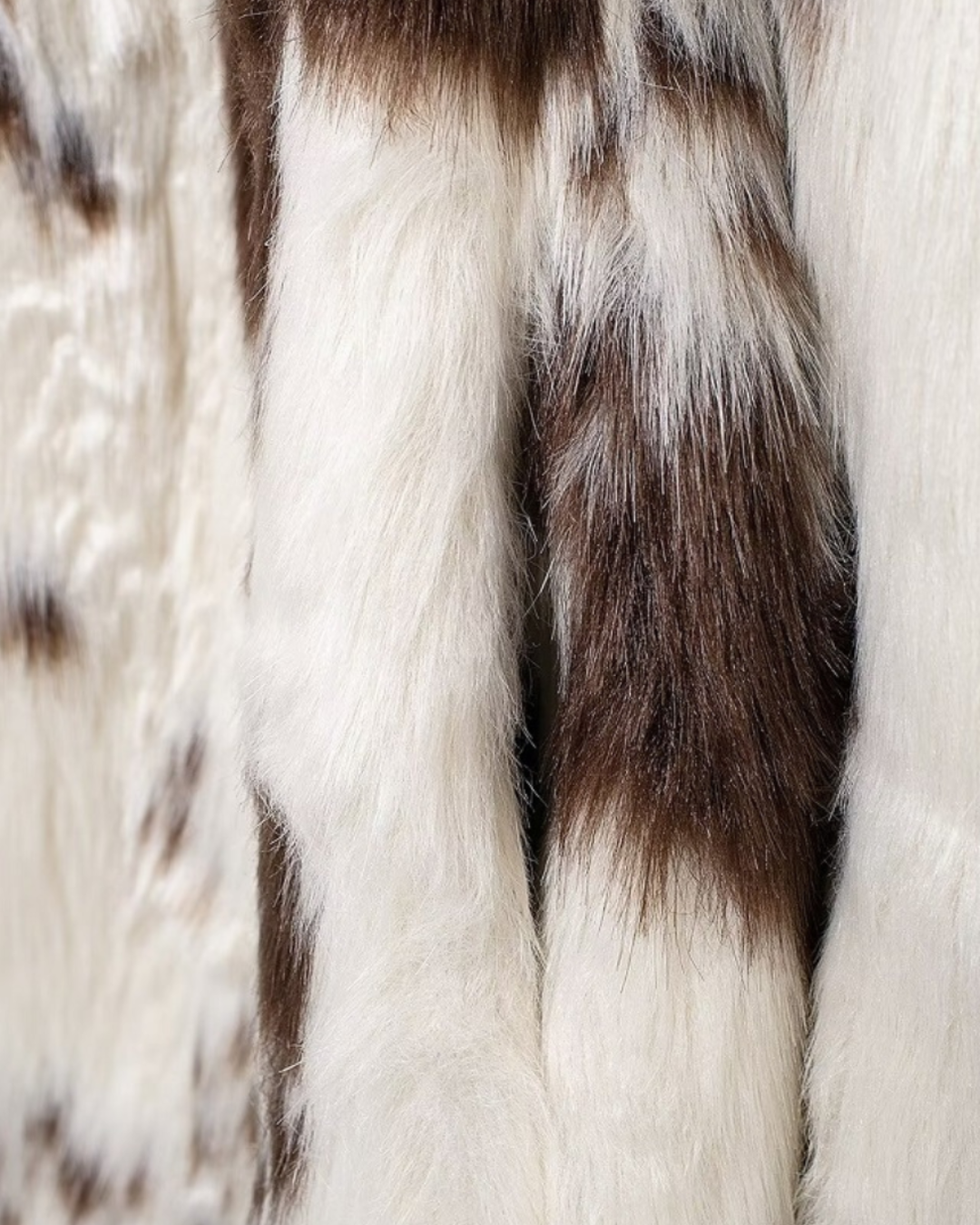 Glamorous Winter Wonderland Coat
